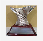 Award: CII Scale Award - Eminent Position Under in Supply Chain & Logistics Express/Courier